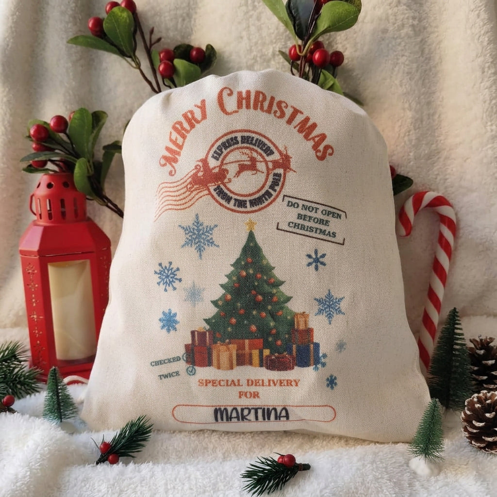 Saco navideño envío (Varios modelos)
