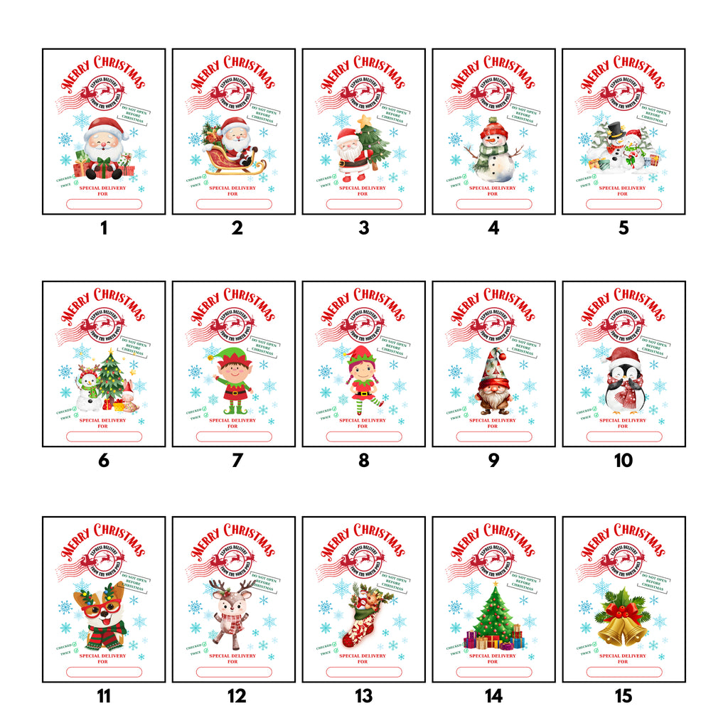 Saco navideño envío (Varios modelos)
