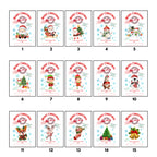 Saco navideño envío (Varios modelos)