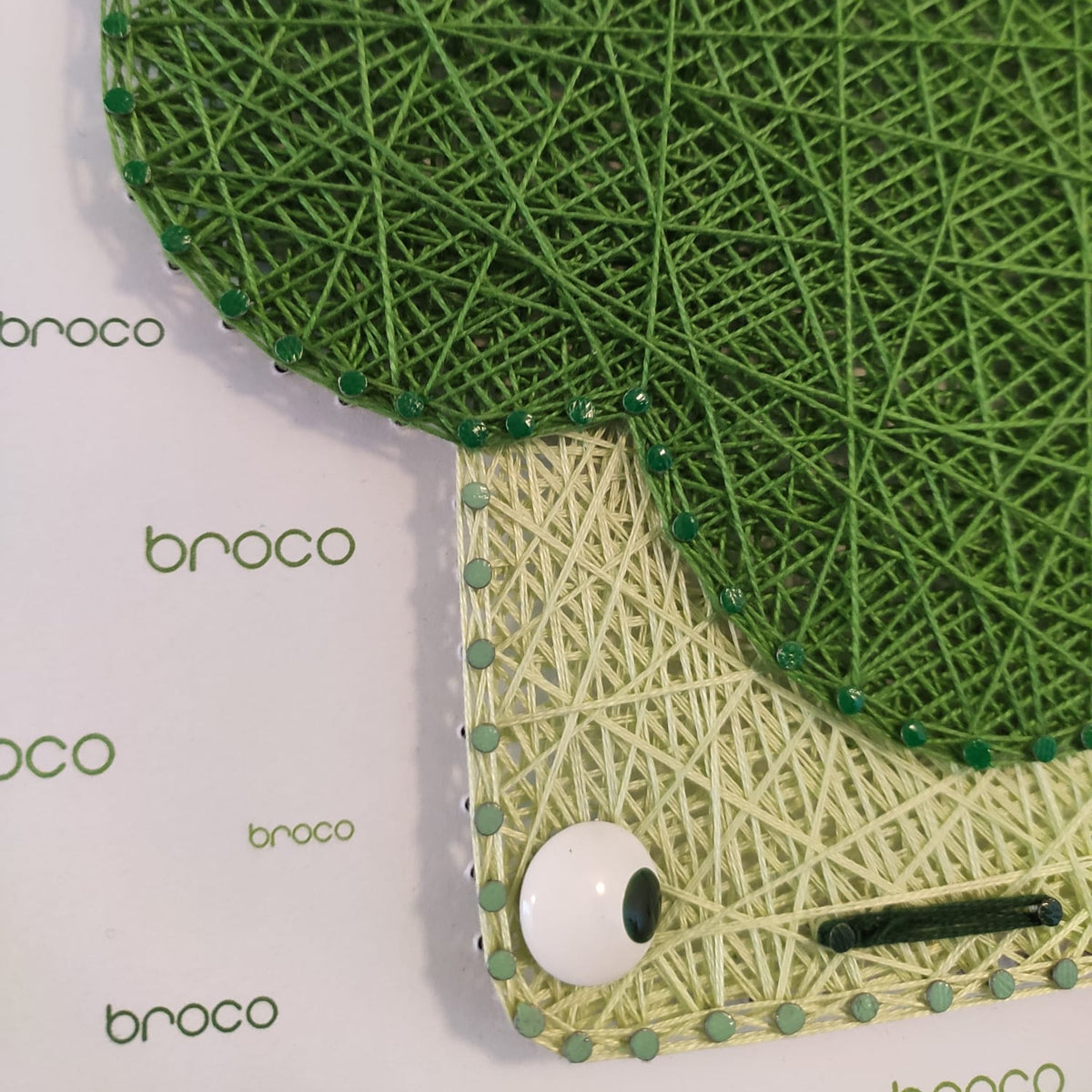 Hilorama Broco