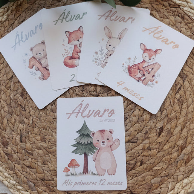 Pack Nórdic Bear